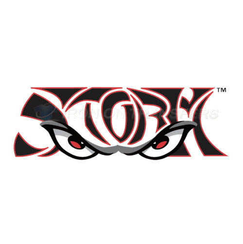 Lake Elsinore Storm Iron-on Stickers (Heat Transfers)NO.7667